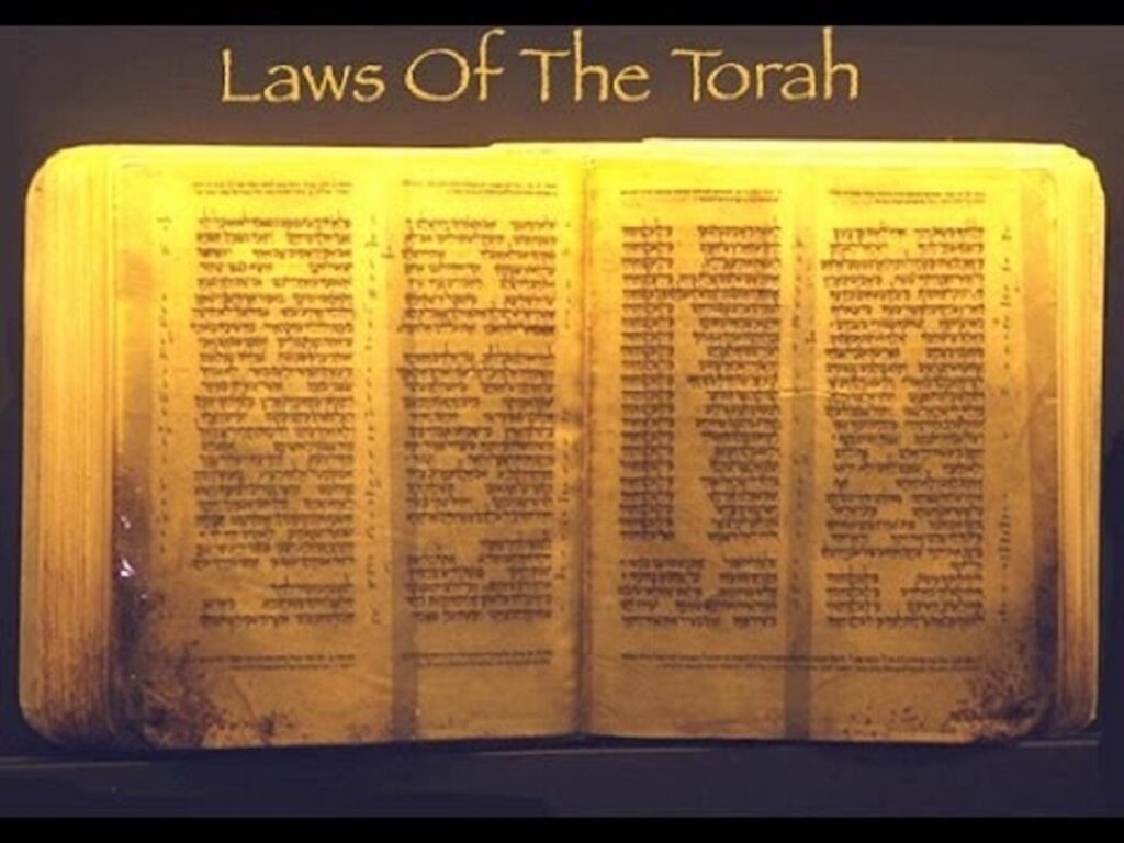 Prophetic Law: An introductory summary of the various types of Law established in the Torah (A prequel to Understanding the Oral Torah of Adonai YHWH vs Post Exilic Oral Torah Study Guide)
