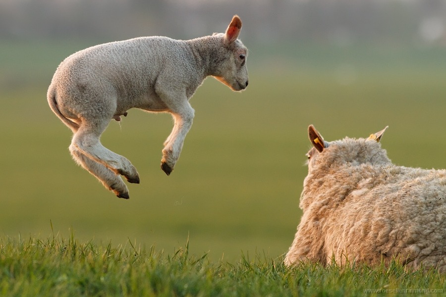 Our Circumstances Should Not Define Our Lives: From Limping to Leaping!!