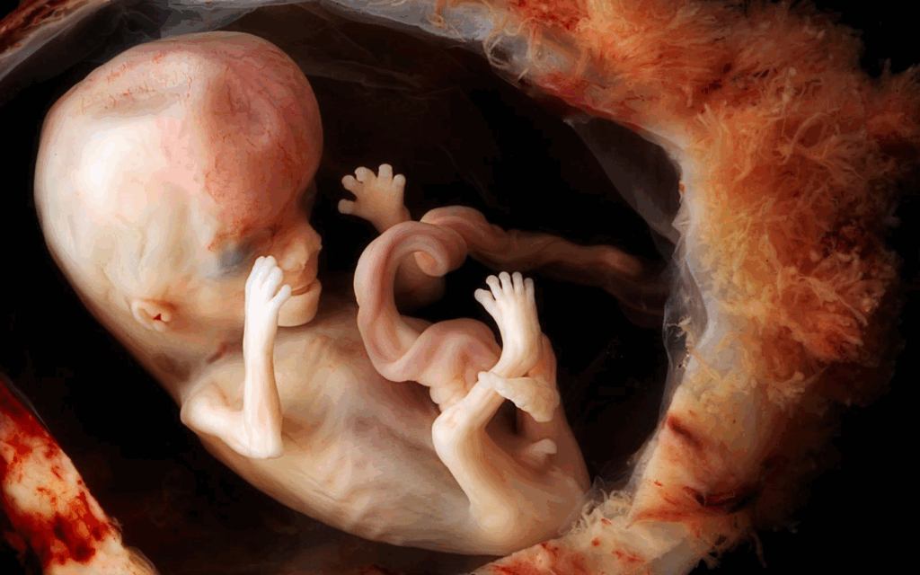 Abortion, an inherently wicked thing, becomes a necessary evil for the sake of righteousness? What Yahwah Elah in the Torah has to say